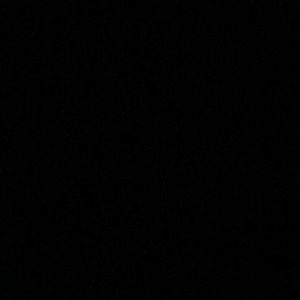 Meet your Posher, Bella